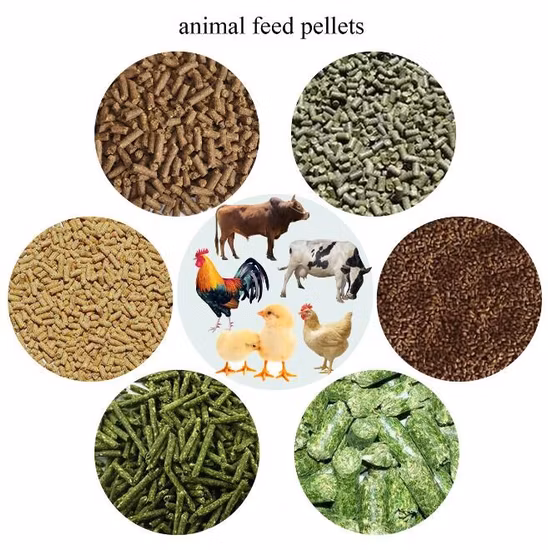Mélangeur d'alimentation de bétail/mélangeur d'alimentation de volaille d'animal de palette d'axe double/petit mélangeur manuel d'alimentation de volaille de bétail de poisson de 1 tonne